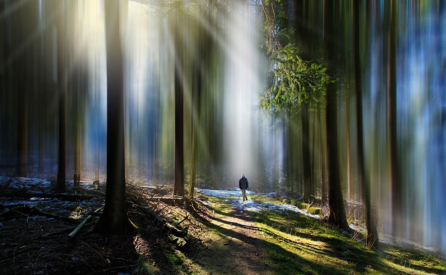 Markus Berroth