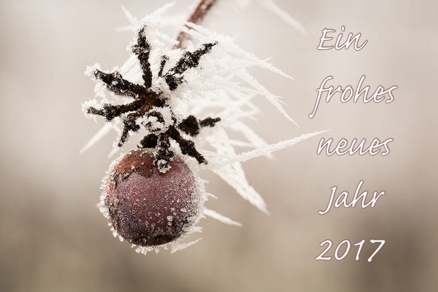 Neujahr