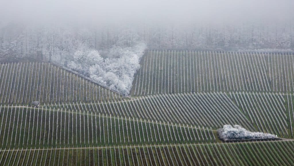 mester r6249362 blick vom salzberg