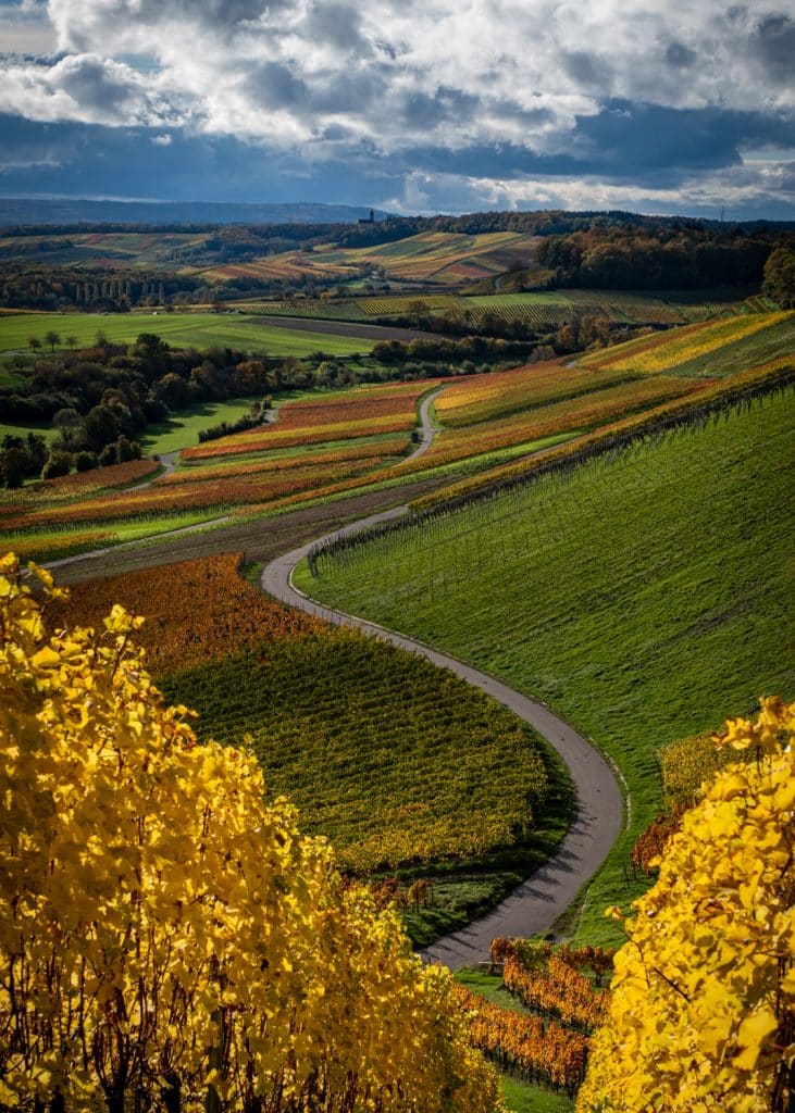 bdm herbst 2