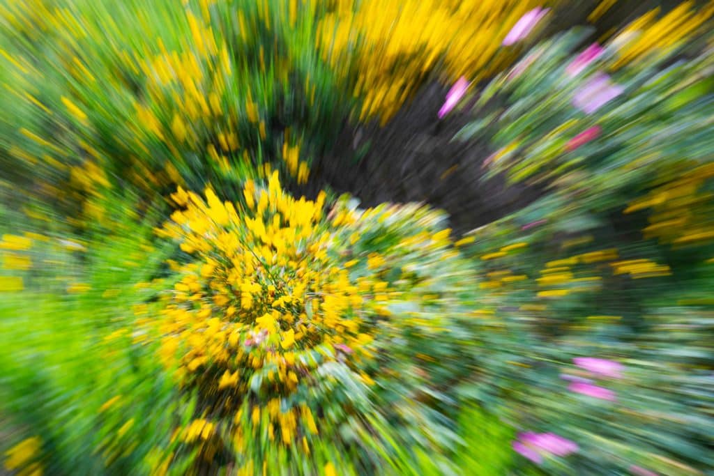 rs explodierender gingster 2