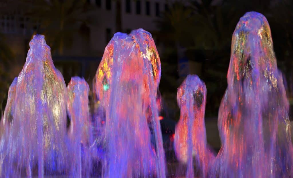 heide 06