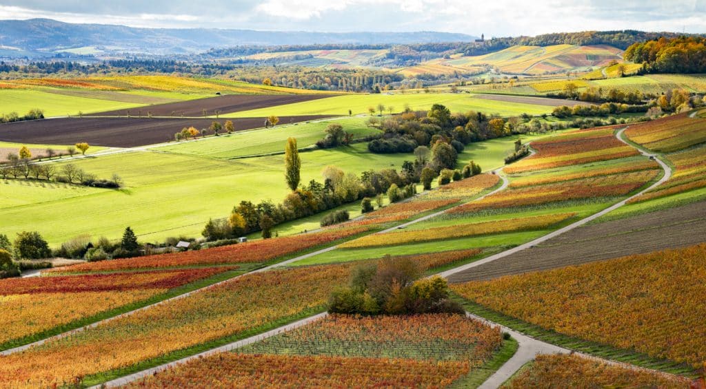 rs herbstwanderung