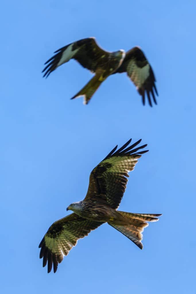 am flugplatz reinhardb