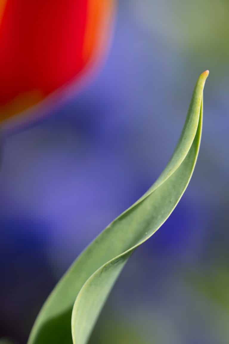 Bild des Monats Juli 2026 – Reinhard Senf Platz 1