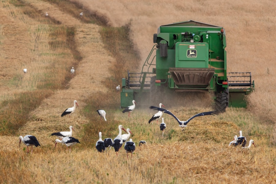 agriculture 05 30x45 1
