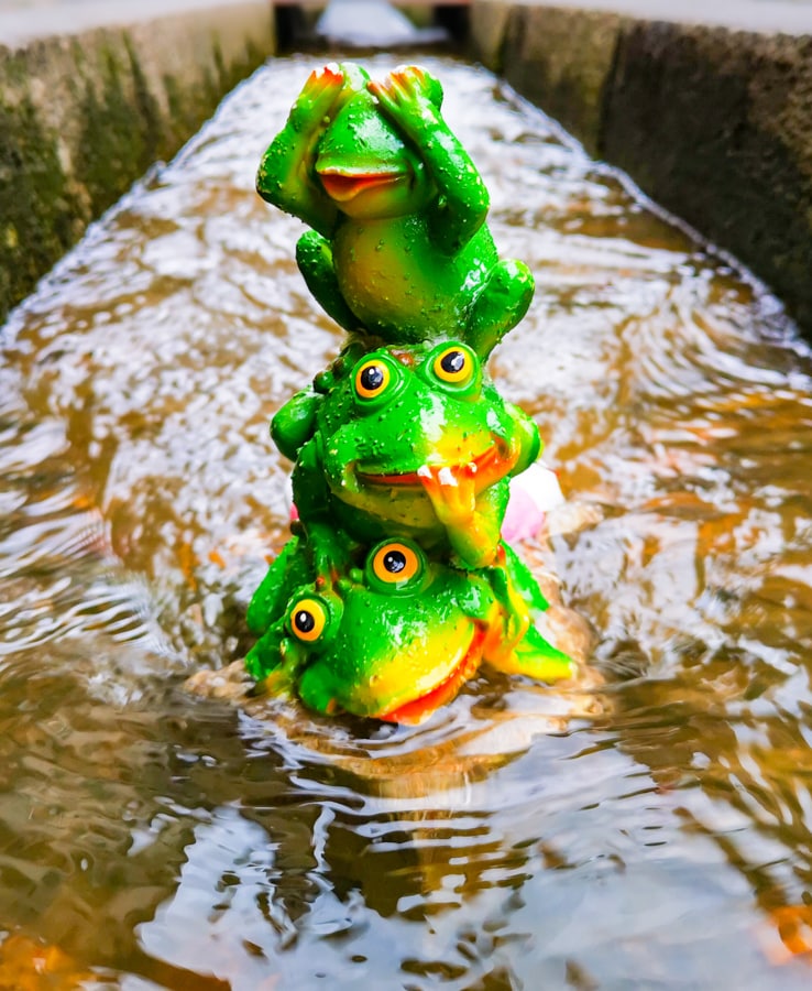 bdm froschomanie 2