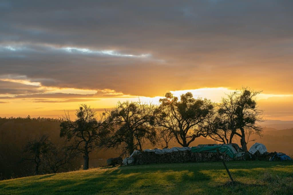 sonnenuntergang
