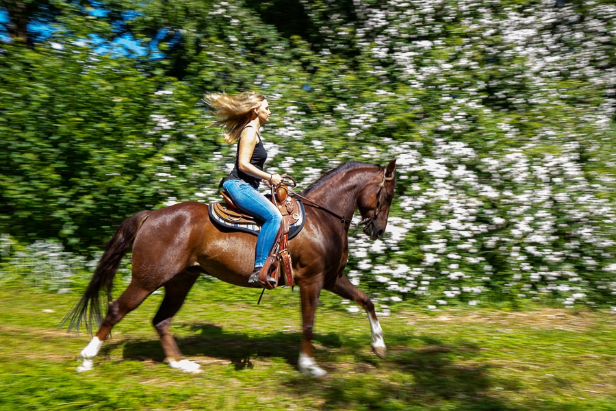20190608 img 4754